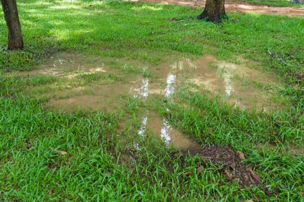 Cost of Storm Water Drainage Service in Brookfield