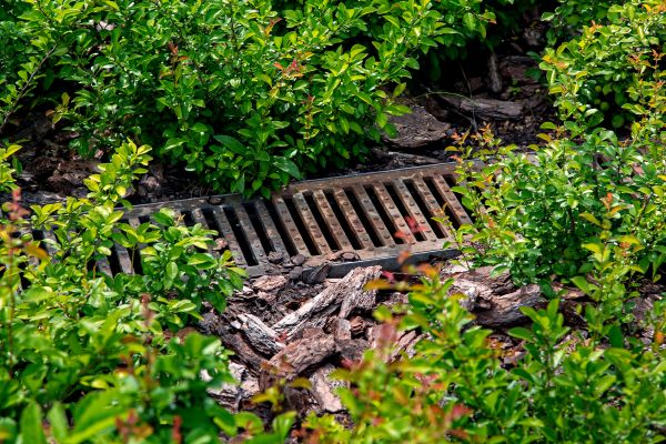Cost of Underground Drainage Service in Brookfield