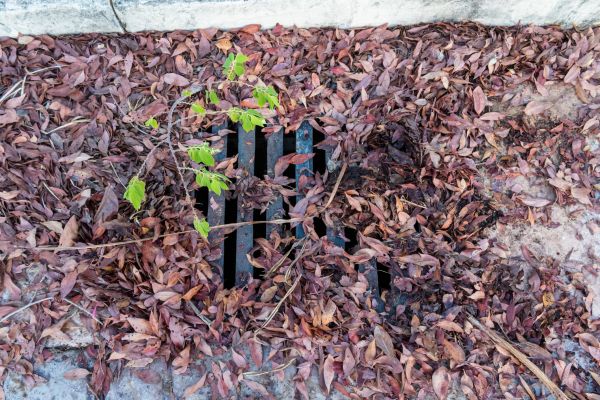 Cost of Yard Drain Unclogging in Brookfield