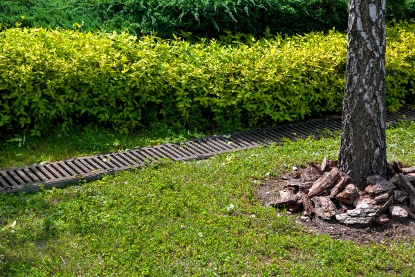 Cost of Residential Landscape Drainage in Brookfield