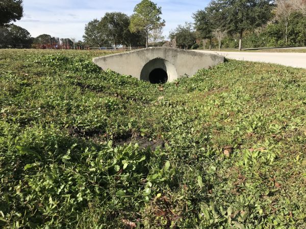 Cost of Swale Drainage Service in Brookfield