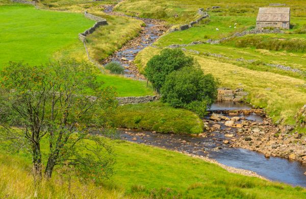 Cost of Swale Repair in Brookfield